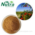 Organic Goji Berry Wolfberry Extract